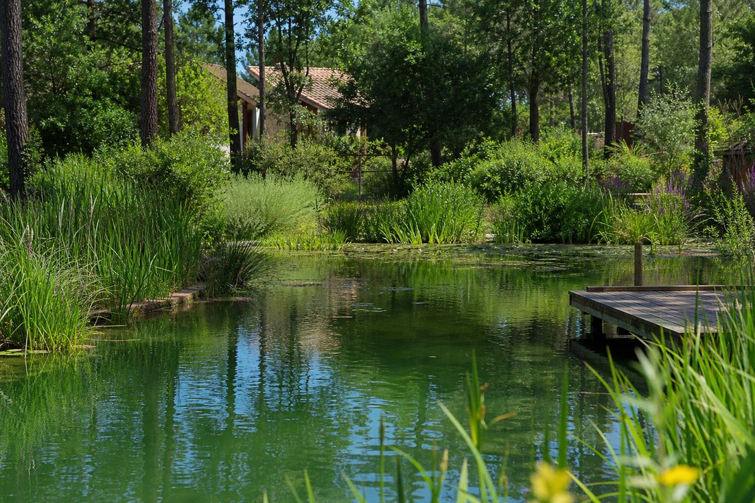 Piscine naturelle à Limoges